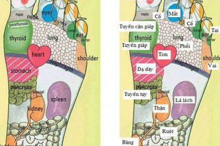 foot-massage-nguyen-son-137-Massage Bàn Chân Giảm Đau Cơ Thể & Chữa Bệnh